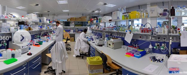 Biology unitn