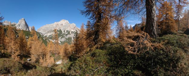 Malga Spora